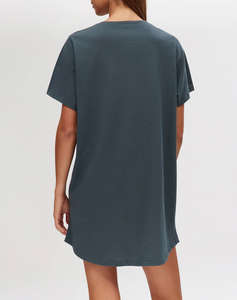 MINERVA T-SHIRT DRESS PAINTINGS