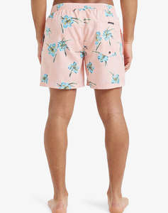 QUIKSILVER EVERYDAY STRAIGHT VOLLEY 15 БАНСКИ MENS