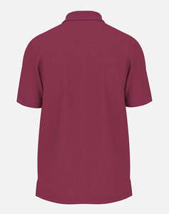 FYNCH-HATTON POLOS