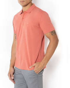 THE BOSTONIANS BLOUSE POLO PIQUE DELAVE REGULAR FIT