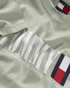 TOMMY JEANS TJM REG TOMMY DNA FLAG TEE EXT