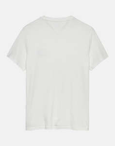 TOMMY JEANS TJM SLIM POP COLOR FLAG TEE EXT
