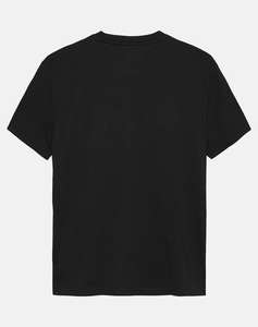 TOMMY JEANS TJM REG FLAG LINEAR SS TEE EXT