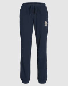 JACK&JONES JPSTELOGO SWEATPANTS 2COL 25/26 NOOS JNR