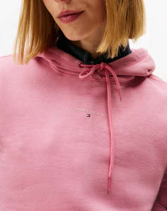 TOMMY JEANS TJW REG LINEAR HOODIE EXT