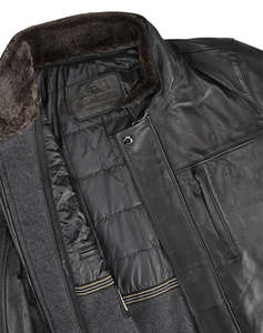 MILESTONE MSBernardo