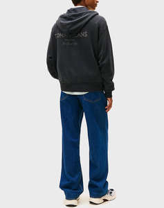 TOMMY JEANS TJM 90S NEW CLSSCS FZ HOODIE