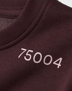 NAME IT NKFODIKA LS RLX SWEAT BRU BF