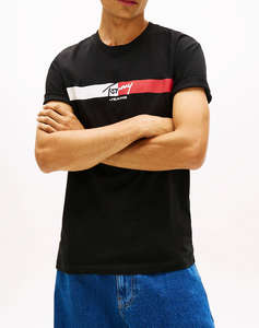 TOMMY JEANS TJM REG SIGNATURE STRIPE T EXT