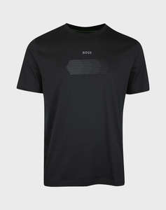 BOSS TS_Unity 10276314 01