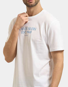 CALVIN KLEIN JEANS 30S EU WHOLESALE JEANS GRAPHICS