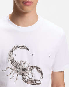 HUGO Discorb 10258299 01