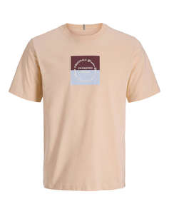 JACK&JONES JORCATSKILLS SQUARE BRANDING TEE SSCN LN