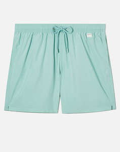 MC2 LIGHTING PANTONE-SWIMSHORT-53 SAGE PNT L