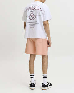 JACK&JONES JPSTKARL NORREBRO SWEAT SHORTS REG SN