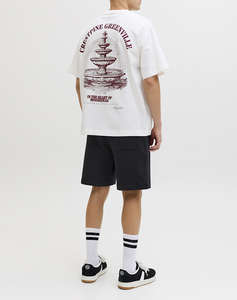 JACK&JONES JPSTKARL NORREBRO SWEAT SHORTS REG SN