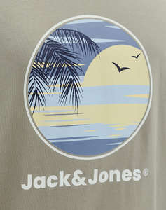 JACK&JONES JJPERRY TEE SS CREW NECK