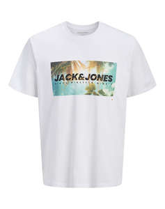 JACK&JONES JJINDIANA TEE SS CREW NECK LN