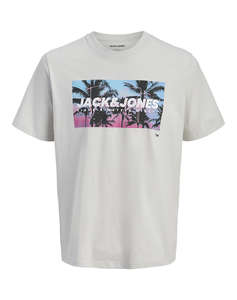 JACK&JONES JJINDIANA TEE SS CREW NECK LN