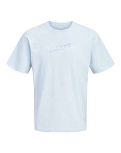 JACK&JONES JCOETERNA FRONT PRINT TEE SS CREW FST