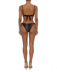 BLUEPOINT BRA