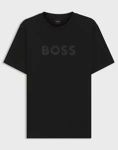 BOSS Te_Logo 10246016 01