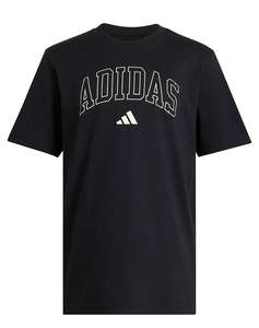 ADIDAS M COLLEGIATE T