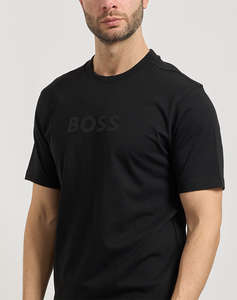 BOSS TS_Logo 10274735 01