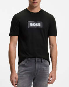 BOSS Te_Effect 10277382 01