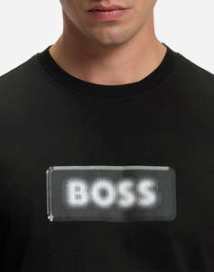BOSS Te_Effect 10277382 01