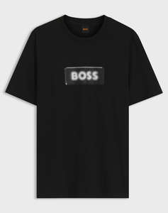 BOSS Te_Effect 10277382 01