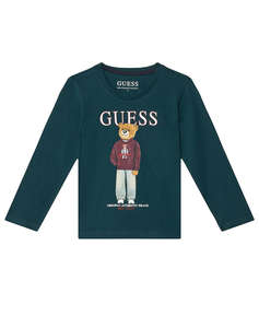 DarkGreen