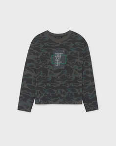 DarkGray