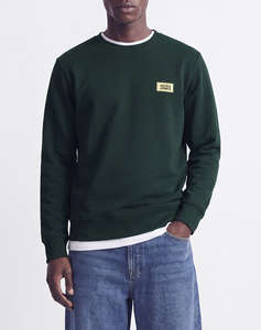 DarkGreen