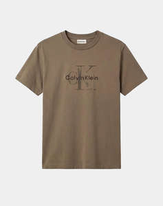 CALVIN KLEIN JEANS SS 20s EZ Distressd Mnlgo Graphi