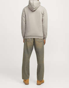 JACK&JONES JJEBRADLEY SWEAT ZIP HOOD NOOS