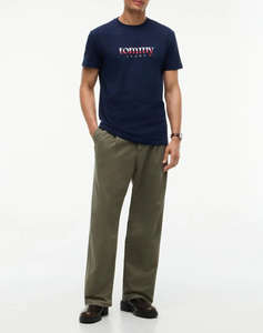 TOMMY JEANS TJM REG DNA TEE EXT