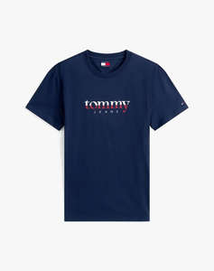TOMMY JEANS TJM REG DNA TEE EXT