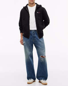 TOMMY JEANS TJM REG DNA BACKPRINT FZ HD