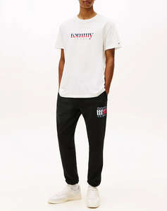TOMMY JEANS TJM REG DNA TEE EXT